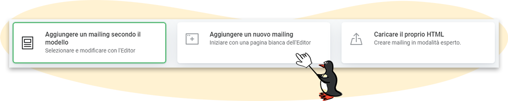 Opzioni per la creazione di un nuovo invio con rapidmail