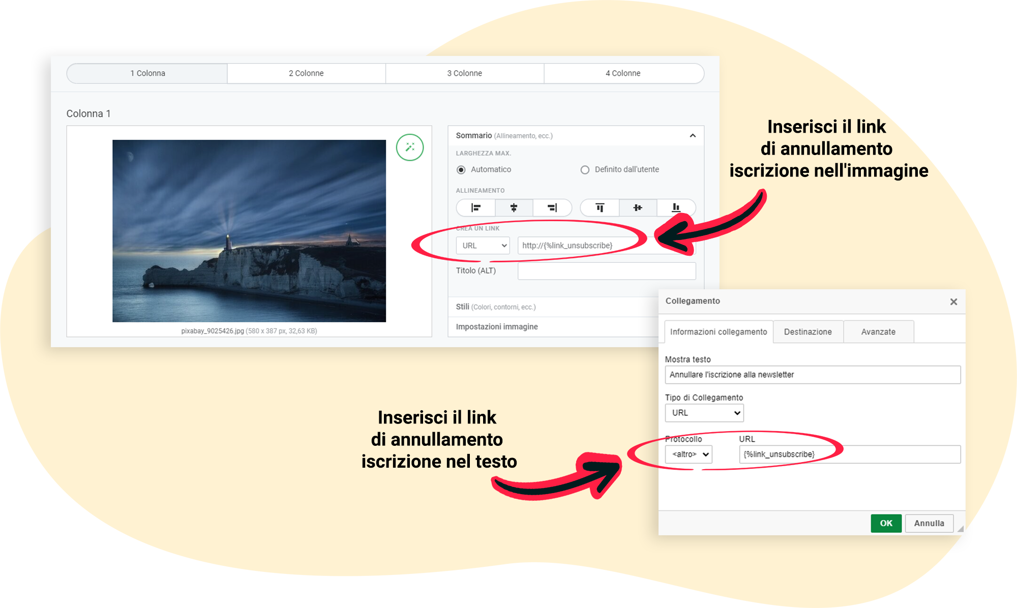 Inserire link di annullamento dell'iscrizione in vari elementi