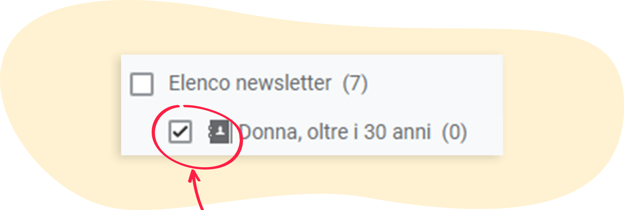 Il segmento creato viene ora visualizzato anche nella selezione dei destinatari