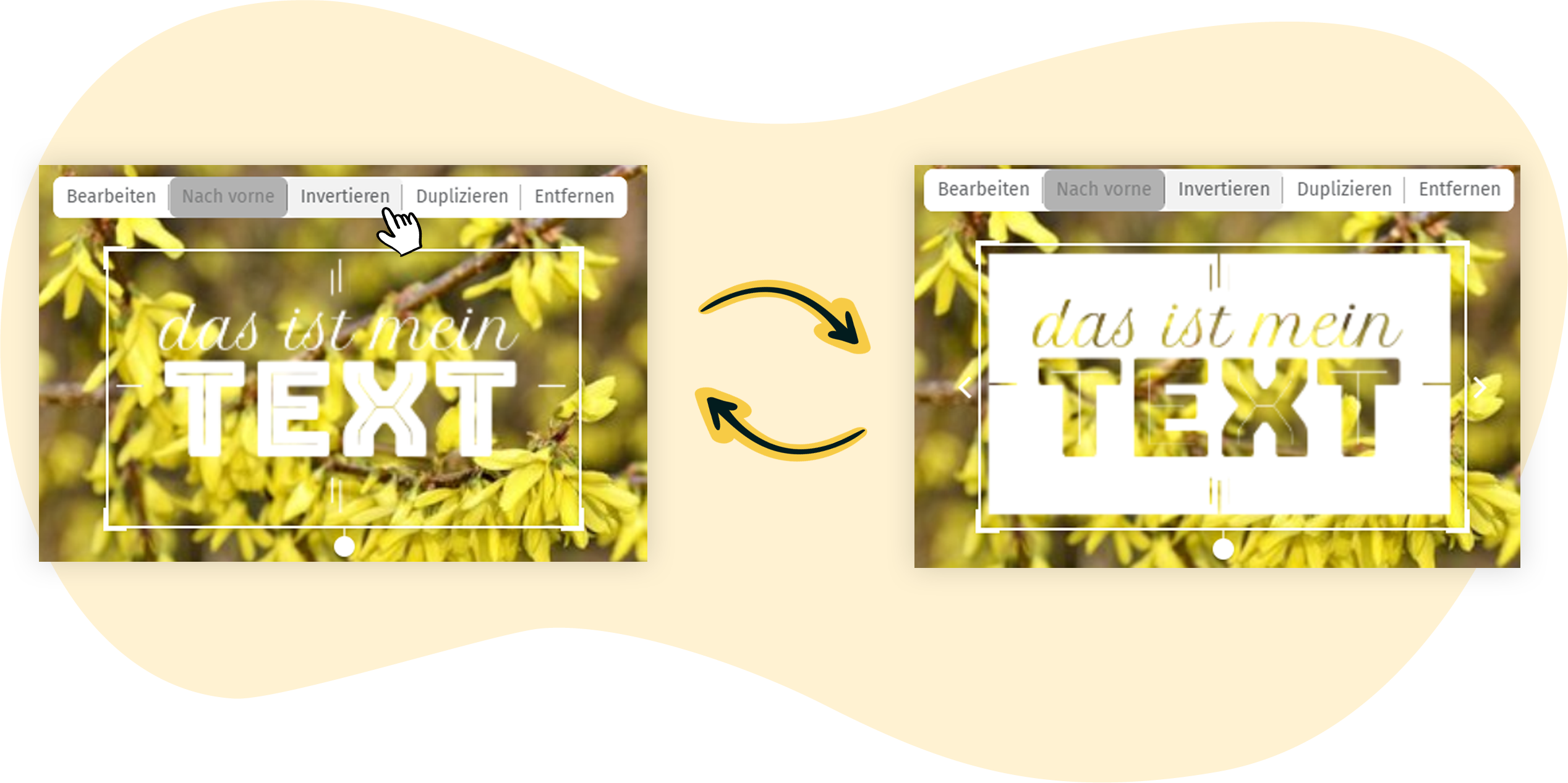 Text-Designs im rapidmail Bild-Editor 