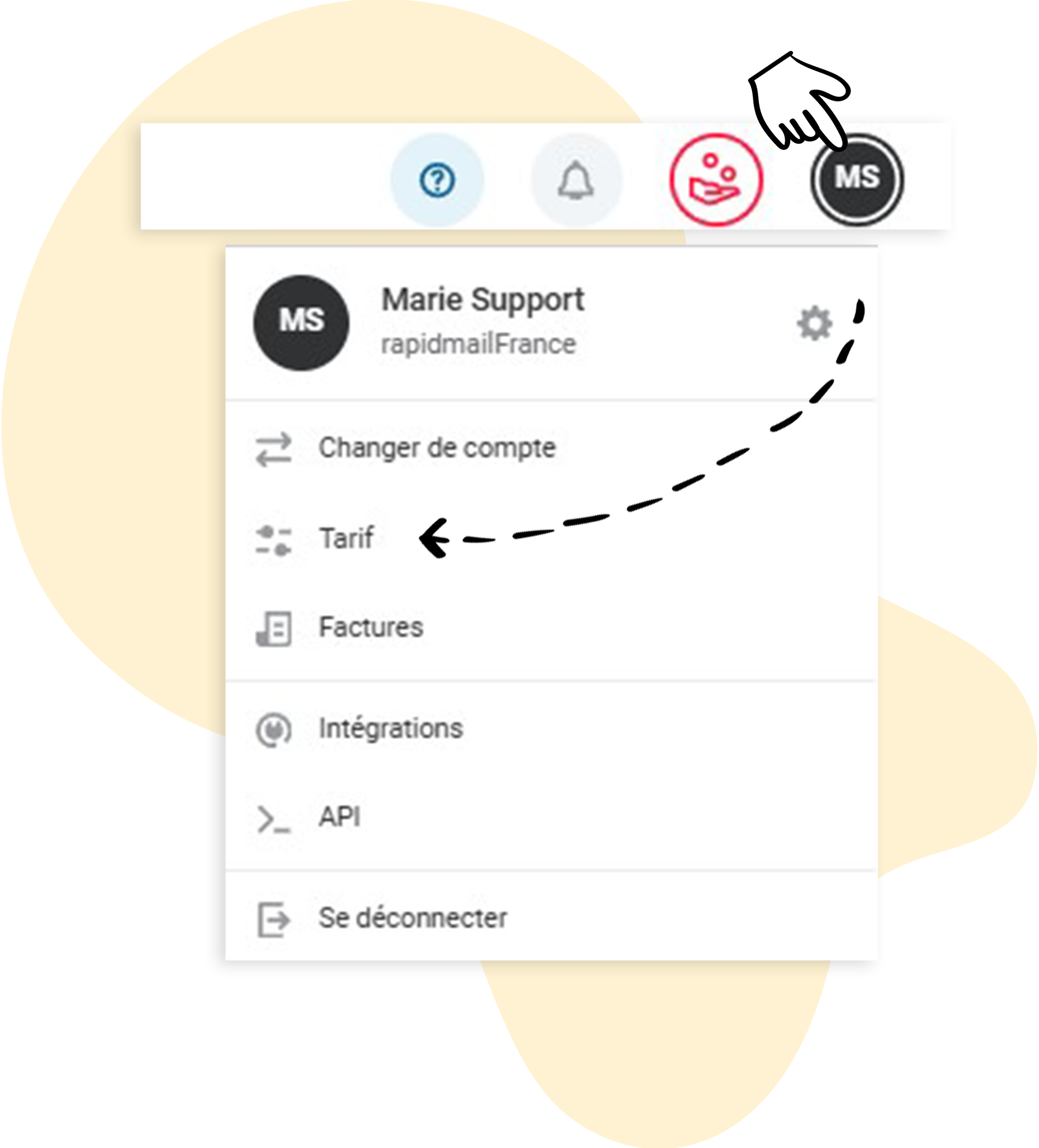 Apercu des tarifs rapidmail 