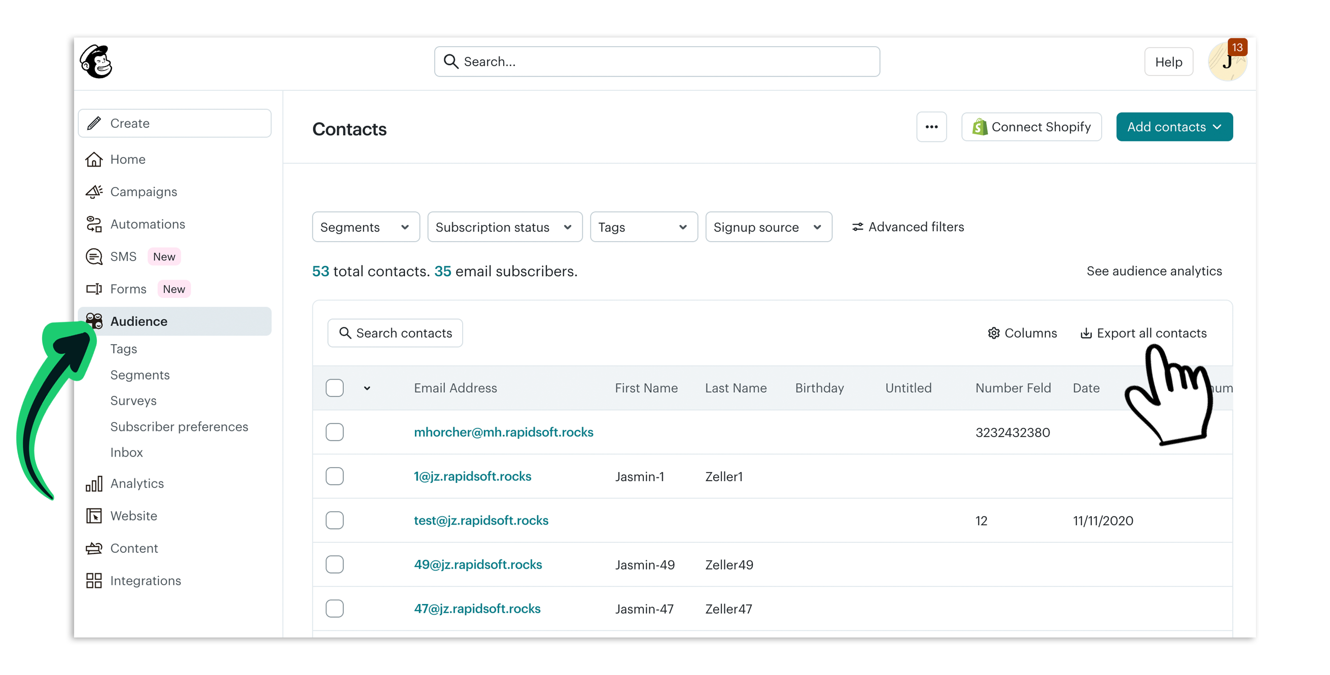 mailchimp-audience-kontakte-exportieren