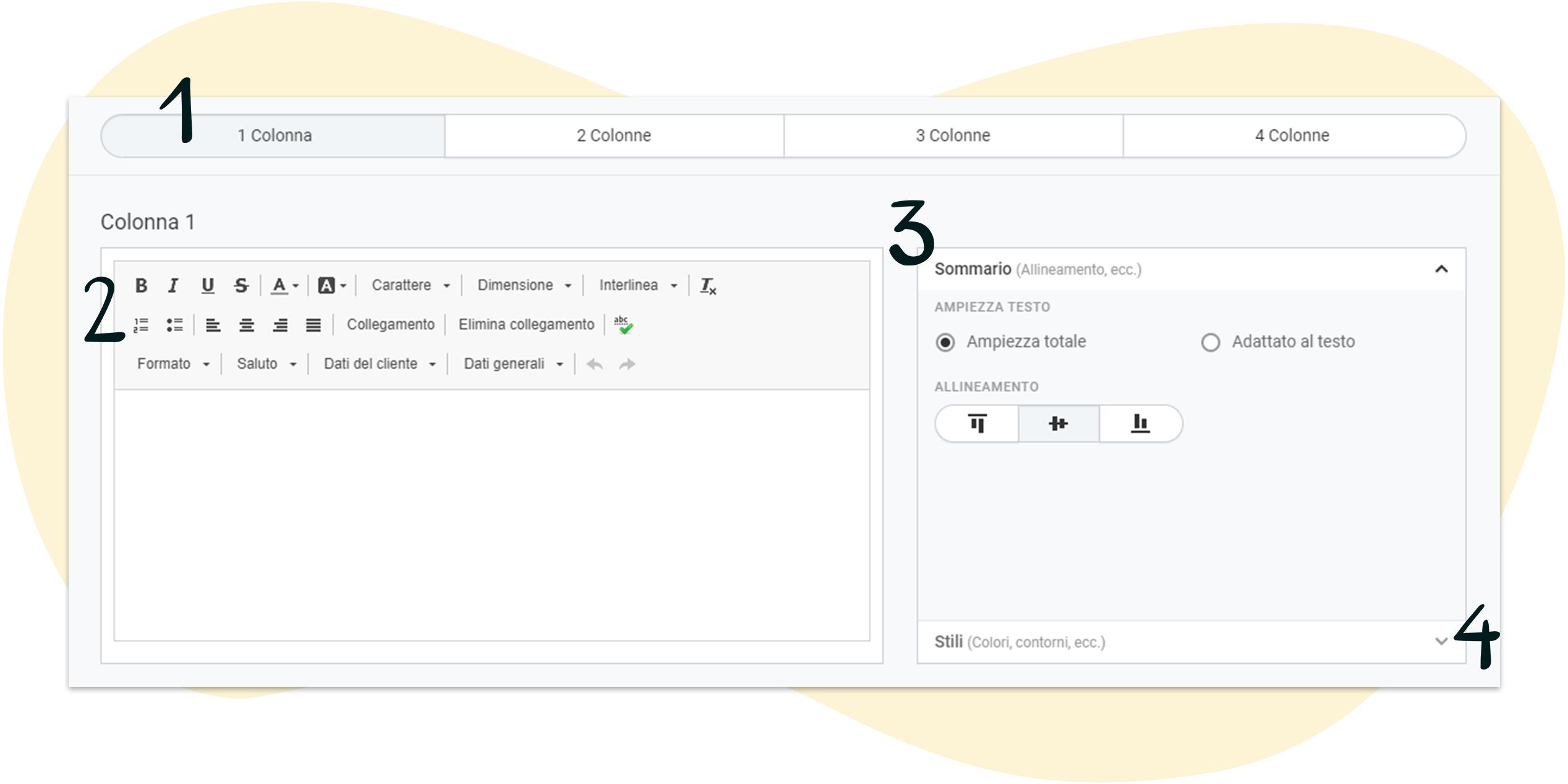 Elemento testo vuoto nell'editor per newsletter